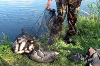 Волинянин-браконьєр нашкодив на 12 тисяч