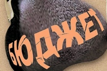 Бізнесмени Волині поповнили держбюджет на понад 280 мільйонів гривень