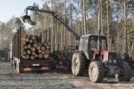 З лісового господарства на Волині стягують майже мільйон