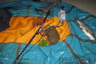 На Волині браконьєри намагались знищити сліди злочину