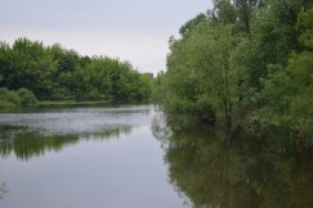 Як на Волині від смерті врятували 5-річну дівчинку