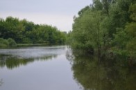 Як на Волині від смерті врятували 5-річну дівчинку