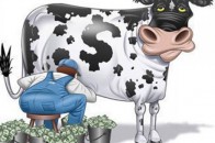 Волинські депутати з'ясовували хто «видоїв» бюджет