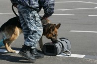 На Волині судили одесита за контрабанду наркотиків