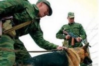 Луцькі прикордонники несуть службу у посиленому режимі