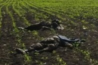 Розстрілювати військових з Волині терористам допомагали місцеві жителі ВІДЕО