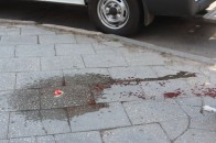 Лучанка «кинулася» під колеса авто ВІДЕО