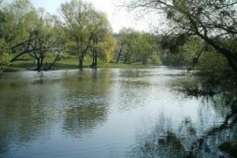 На Волині найдавніша річка України залишається «водяним апендиксом»