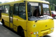 Який транспорт міста не влаштовує лучан