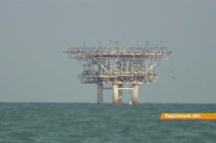 Російські окупанти крадуть в України сотні мільйонів доларів, а влада закриває очі ВІДЕО
