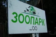 Повторний тендер на будівництво зоопарку проведуть у Луцьку
