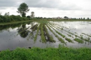 Волинь вже почало затоплювати