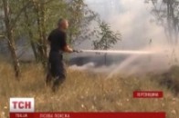 Шалена пожежа знищила 100 гектарів соснового лісу ВІДЕО