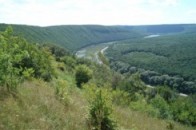 Відомо хто на Волині претендує на посади начальників держлісгоспів