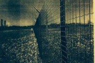 Коломойський хоче відгородити Україну від Росії металевим парканом під струмом ПРОЕКТ ВІДЕО