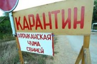 Волинян застерігають про захворювання тварин чумою та ящуром