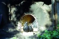 Унікальну знахідку 14-15 сторіччя знайшли поблизу Луцька