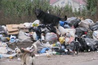 На рекреаційні території Волині чекають перевірки