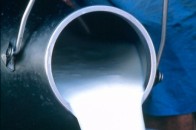 Фірма заступника голови Луцької райради боргує 350 000 гривень за молокопродукти