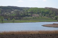 На Волині орендар ставка завдав природі збитків на суму понад 330 тисяч