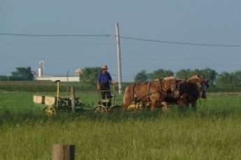 Що принесе асоціація з ЄС українським фермерам ВІДЕО