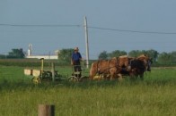 Що принесе асоціація з ЄС українським фермерам ВІДЕО