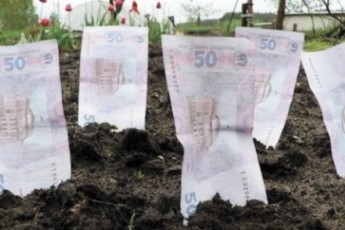 Скільки коштує оренда землі на Волині