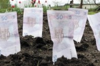Скільки коштує оренда землі на Волині