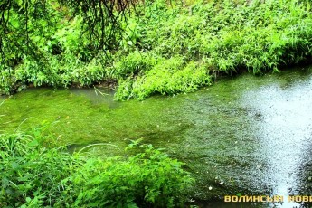 На Сапалаївку з бюджету Луцька виділять 5 мільйонів