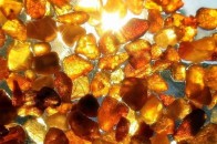 На Волині процвітає «бурштинова мафія»