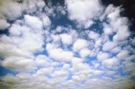 Луцьке повітря стало чистішим