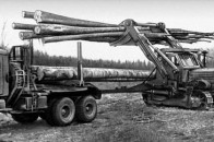 Британська компанія стягує з волинської фірми 11 тисяч доларів за деревину
