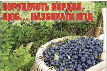 Волиняни масово порушують кордон, щоб назбирати ягід