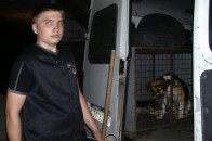 У Луцьку - нічний відлов собак