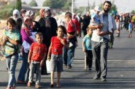 На Волині працевлаштовано 24 біженці