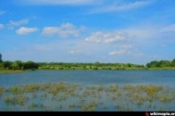 Біля Луцька виловили потопельника. Особа встановлюється