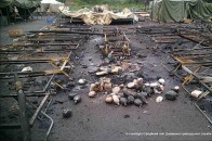 «Волинян вбивають під Амвросіївкою! Підмоги немає», - соцмережі