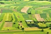 Волинські військові, учасники АТО, отримали земельні ділянки