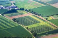 На Волині підприємства кілька років користувалися землею без документів