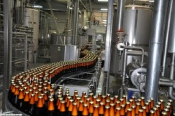 Пивовари Волині «додали» до держбюджету понад 570 тисяч