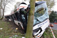 У Німеччині зіткнулися автобуси з України і Польщі: 9 загиблих, 40 постраждалих