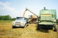 Аби «підняти» колгосп, фермер набрав мільйони кредитів за підробленими документами
