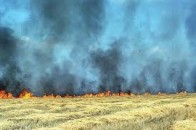 За самовільне спалювання стерні волинянам загрожує кримінальна відповідальність