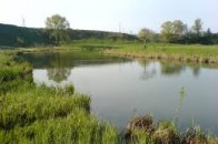 На Волині в річці втопилась дитина