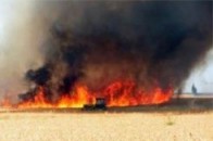 На Волині згоріло 14 гектарів пшеничного поля