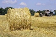 Жнива на Волині перетнули «екватор»