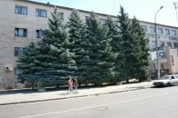 В місті на Волині посеред вулиці торгують дешевою самогонкою, - ЗМІ