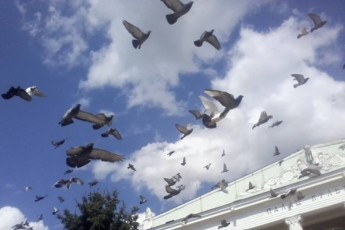 Двоє бійців 51-ої бригади досі знаходяться у полоні терористів