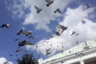 Двоє бійців 51-ої бригади досі знаходяться у полоні терористів