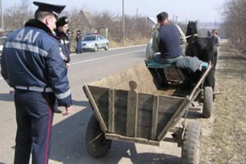 На Волині часті винуватці ДТП - водії гужового транспорту
